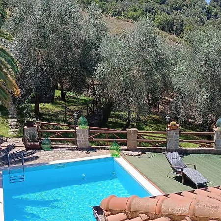 Apartment Ulivo Perdifumo